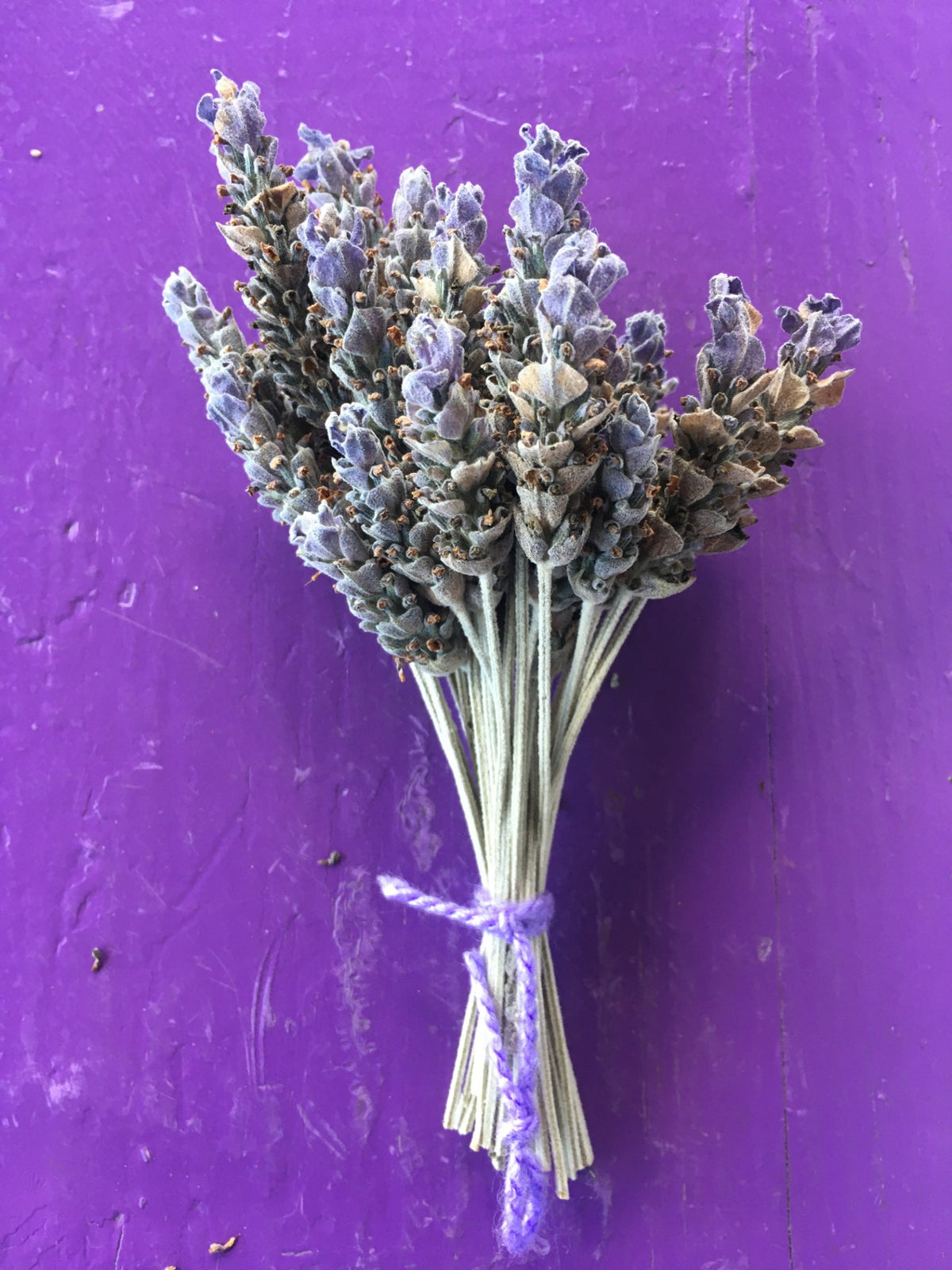 Ramo de flores de lavanda francesa deshidratadas