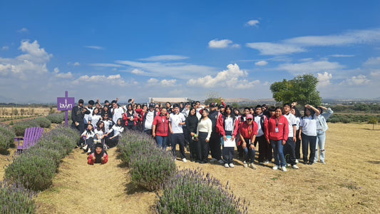 Grupo de estudiantes entre hileras de lavanda durante una visita escolar a la granja Lavyn en Tequisquiapan, Querétaro.