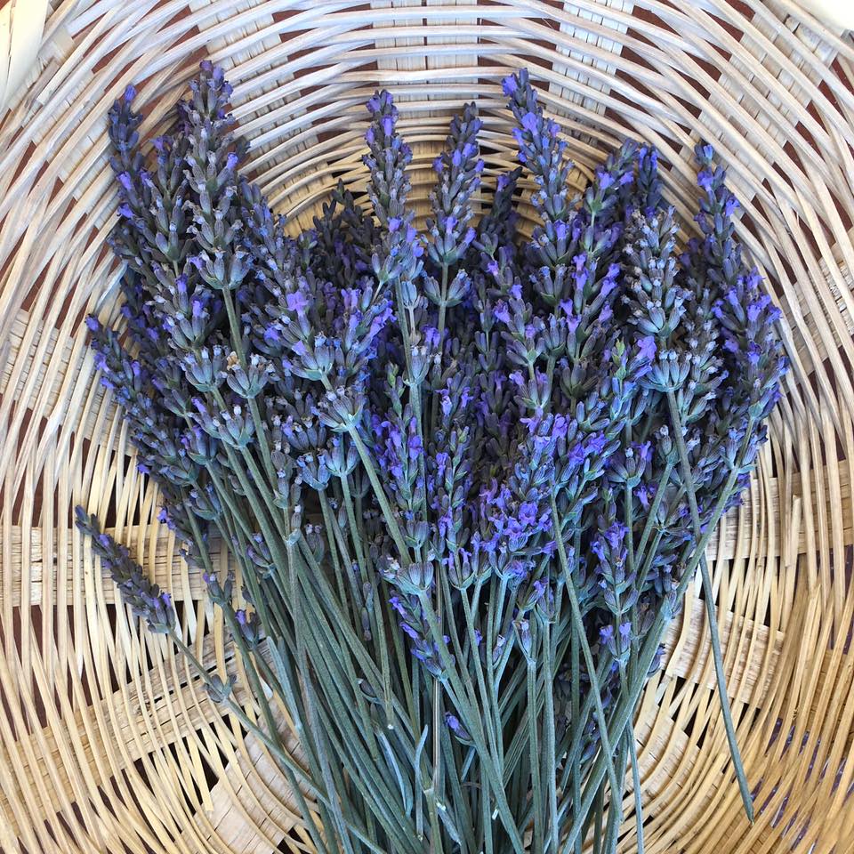 Shampoo de lavanda: una rutina para un cabello suave