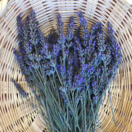 Shampoo de lavanda: una rutina para un cabello suave
