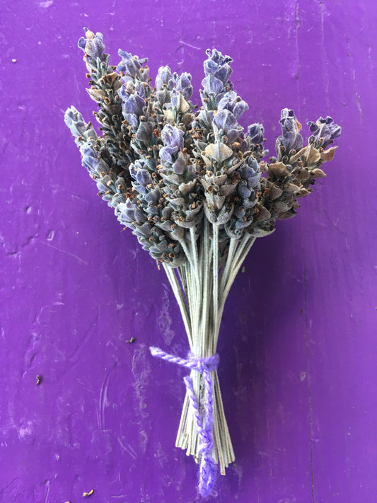 Ramo de flores de lavanda francesa deshidratadas