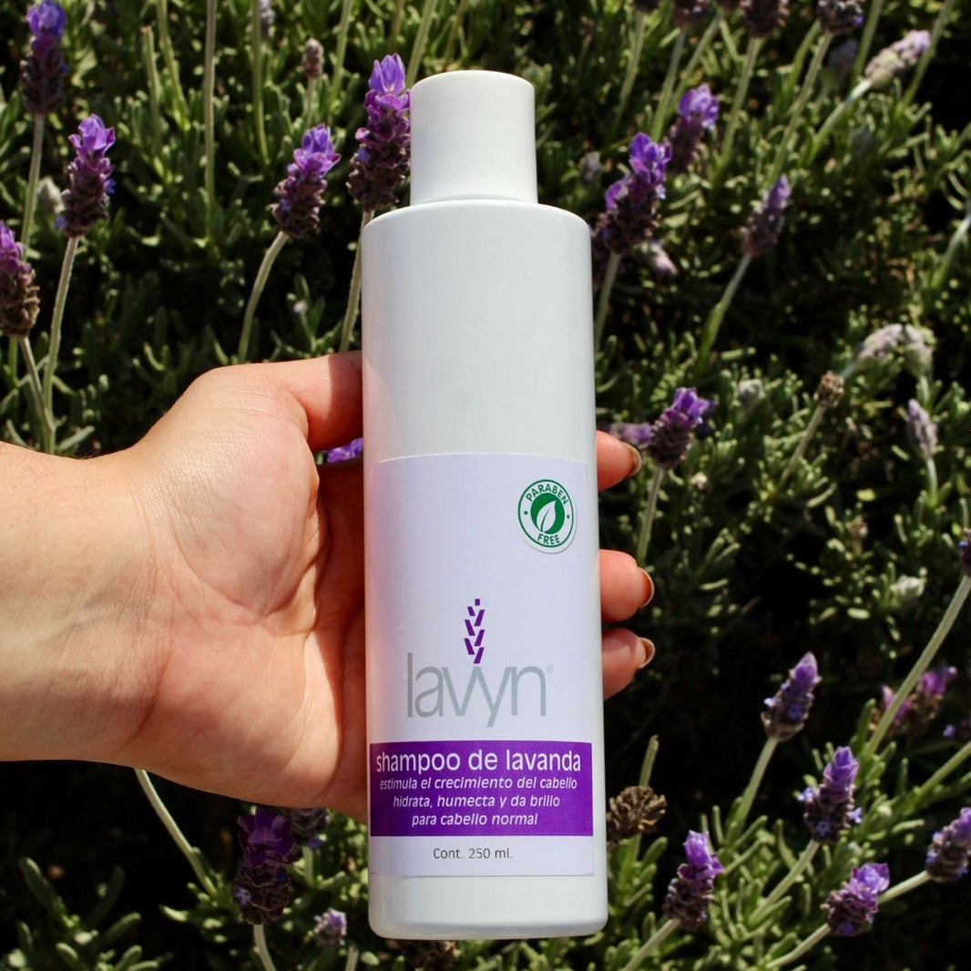 Shampoo de Lavanda Lavyn