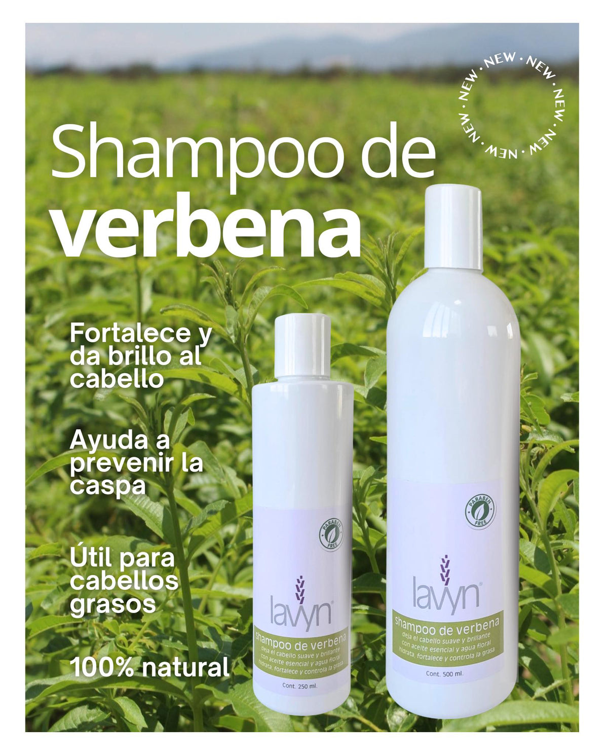 Shampoo de Verbena Lavyn